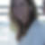 Profilbild på Uta Alexandra Jämting