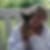 Profilbild på Ottilia Valkonen