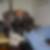 Profilbild på Staffan Andersson