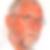 Profilbild på Göran Persson