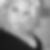 Profilbild på Justina Eliasson