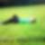 Profilbild på Sirwan Eedo