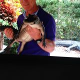 Profilfoto Björn Larsson Profilfoto av Björn Larsson