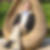 Profilbild på Bernt Paulson