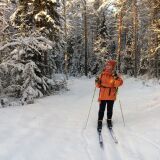 Profilfoto Lena Sjöstedt Profilfoto av Lena Sjöstedt