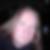 Profilbild på Henrik Söderström