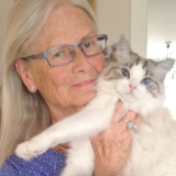 Profilfoto av Birgitta Lindström