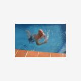 Profilfoto av Ingvar Andersson