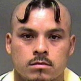 Profilfoto av Felix Westman