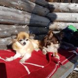 Profilfoto av Stig Nilsson