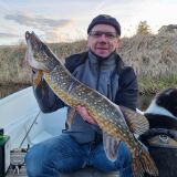 Profilfoto av Conny Ahlstedt