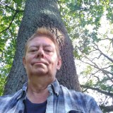 Profilfoto av Mikael Nilsson