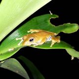 Profilfoto av Håkan Karlsson